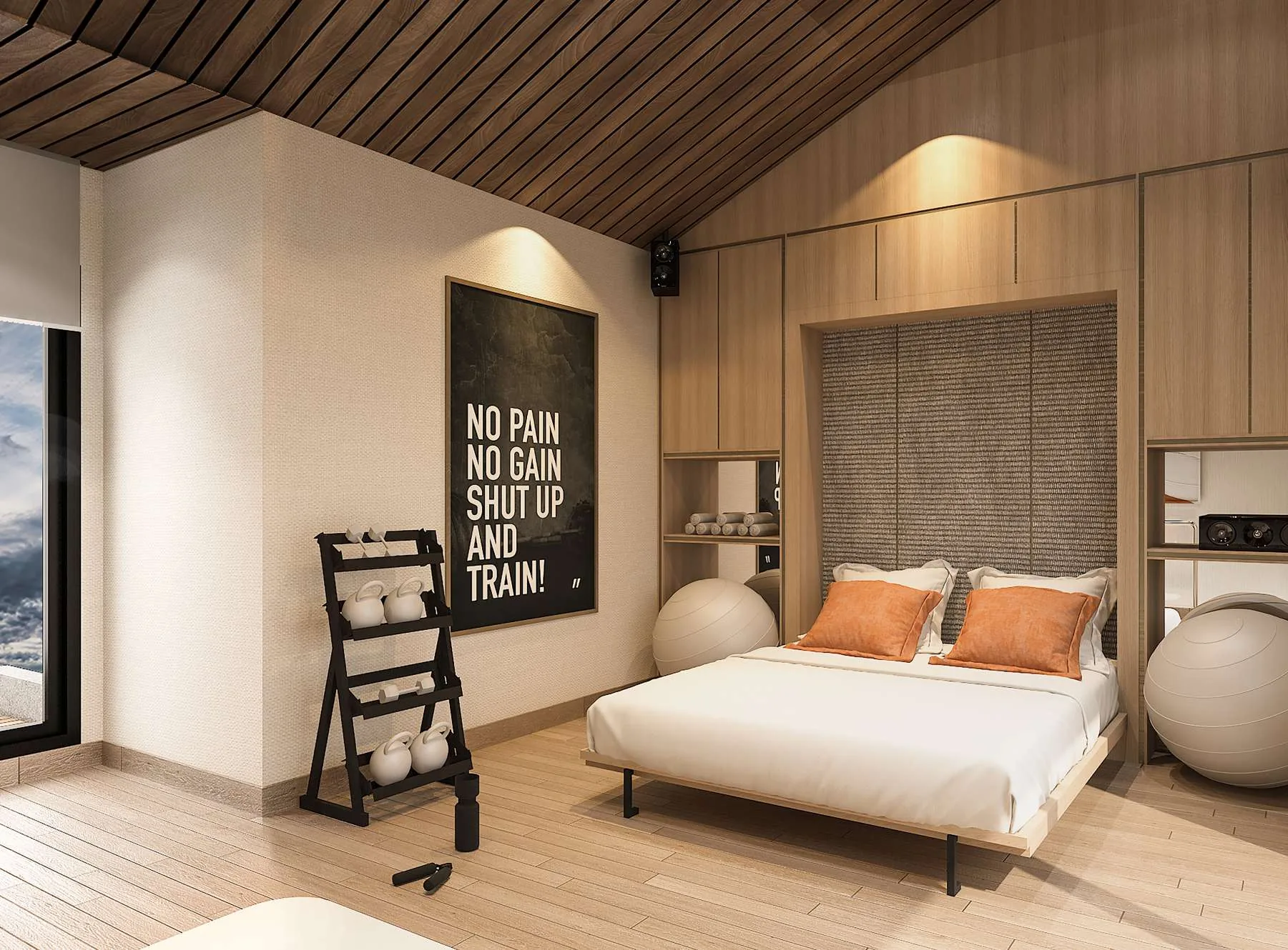 Attic Gym/Multifungsi — Sloped Ceiling, Fitness Equipment (Ideas & Inspiration)